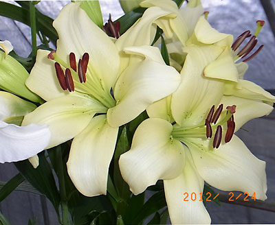 e0097770_20523493.jpg