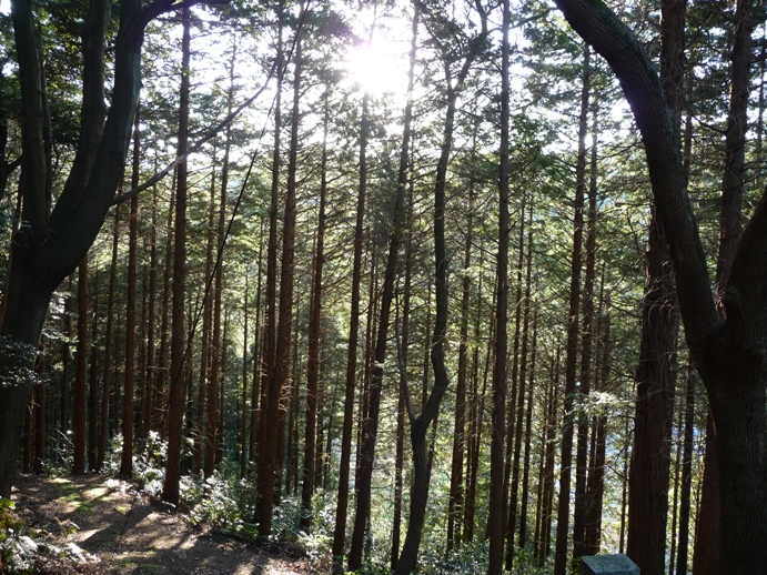 e0165472_23203351.jpg