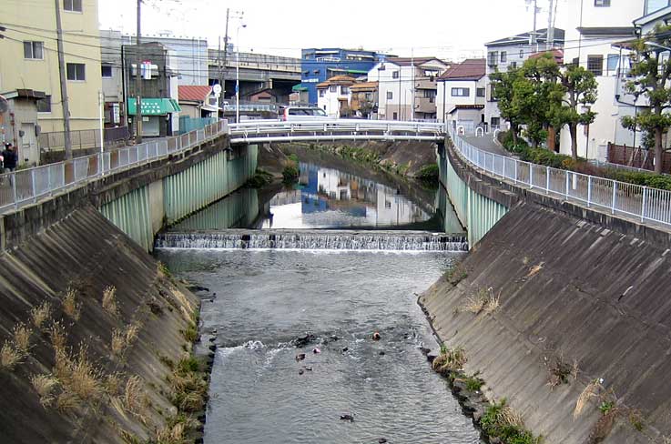 b0057679_8564693.jpg