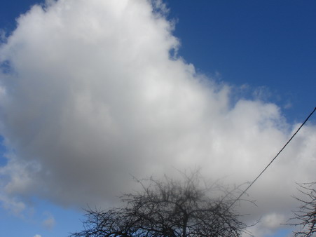 a0247585_5271014.jpg