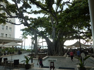 c0077697_20594216.jpg