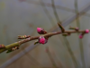 b0110999_21462858.jpg