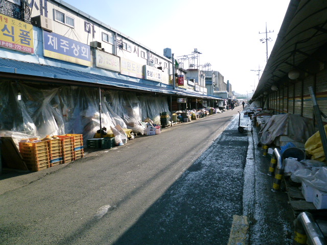 a0140305_0572514.jpg