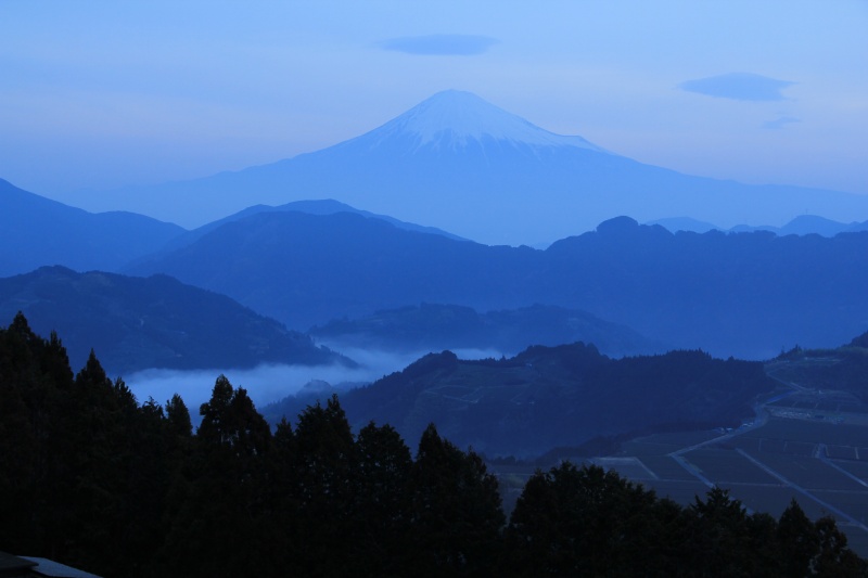a0188405_7471227.jpg
