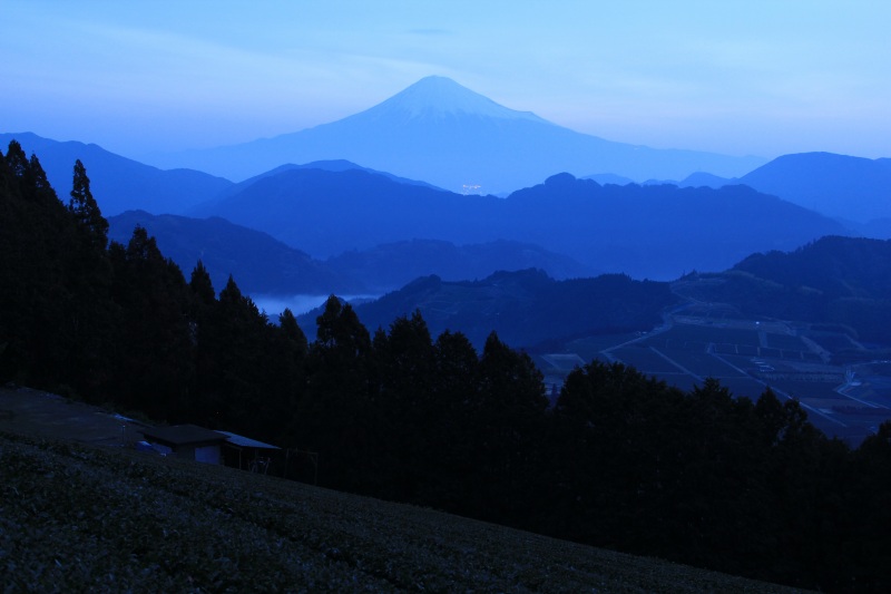 a0188405_7524535.jpg