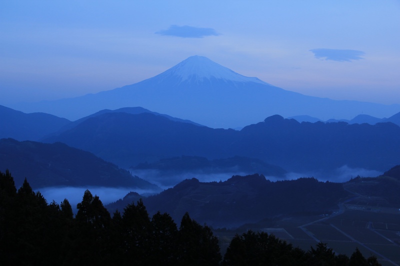 a0188405_7533725.jpg