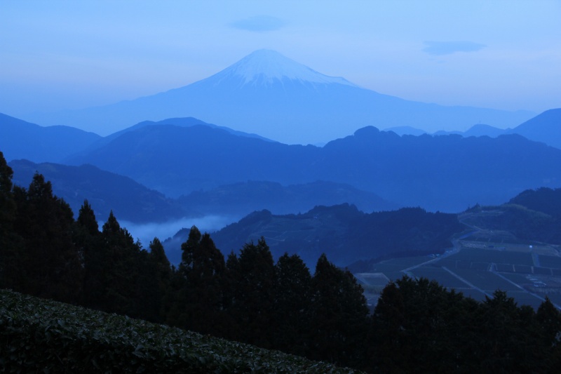 a0188405_7561889.jpg