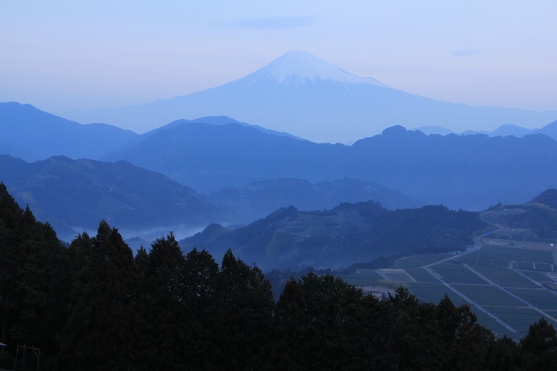 a0188405_757134.jpg