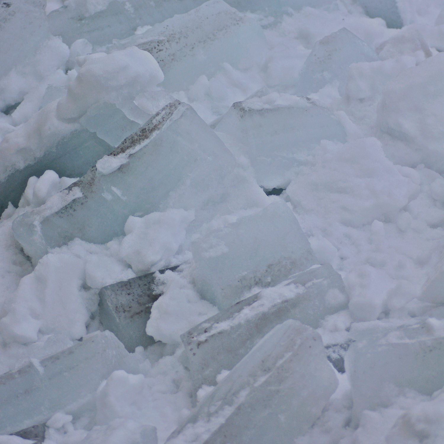 e0142611_0282533.jpg