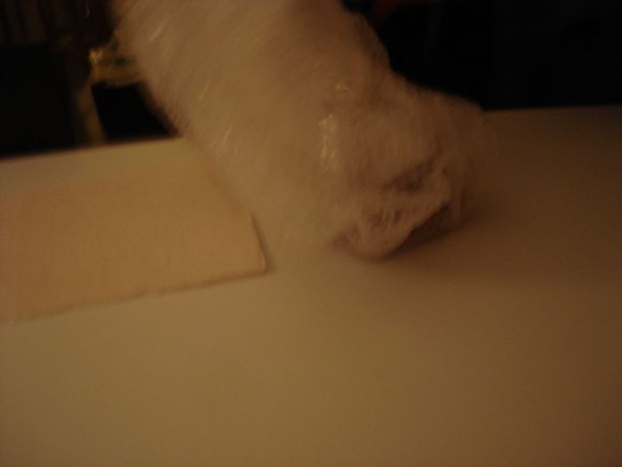 c0167813_216165.jpg