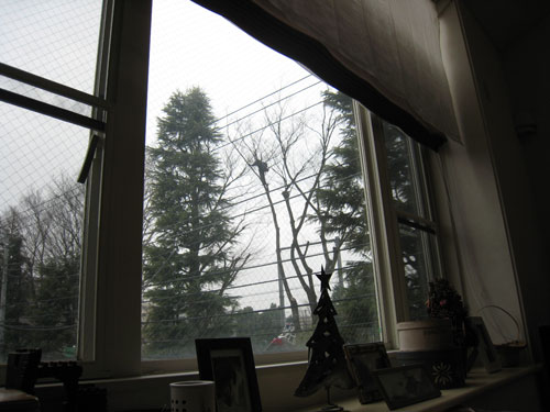 e0195115_90288.jpg