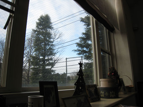 e0195115_961771.jpg