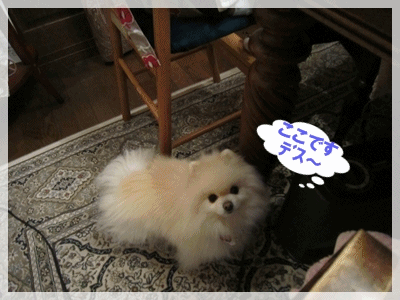 b0167519_9225453.gif