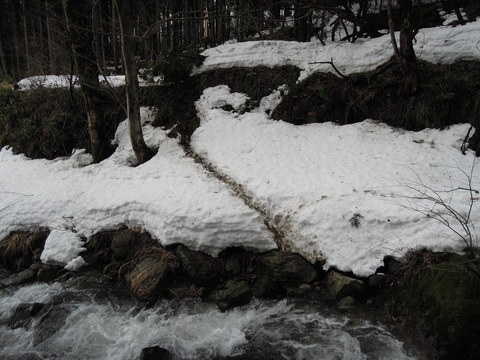 e0147226_2375614.jpg