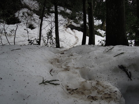e0147226_2392595.jpg