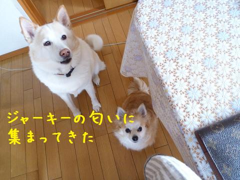 b0138430_1423731.jpg