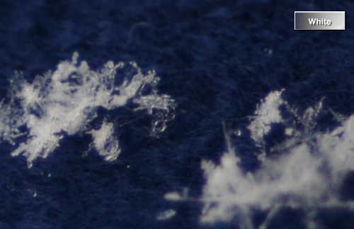 c0227134_7212945.jpg