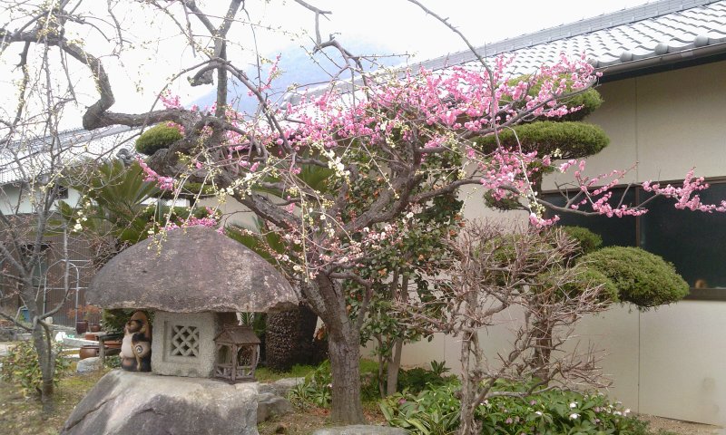 b0200747_20203831.jpg