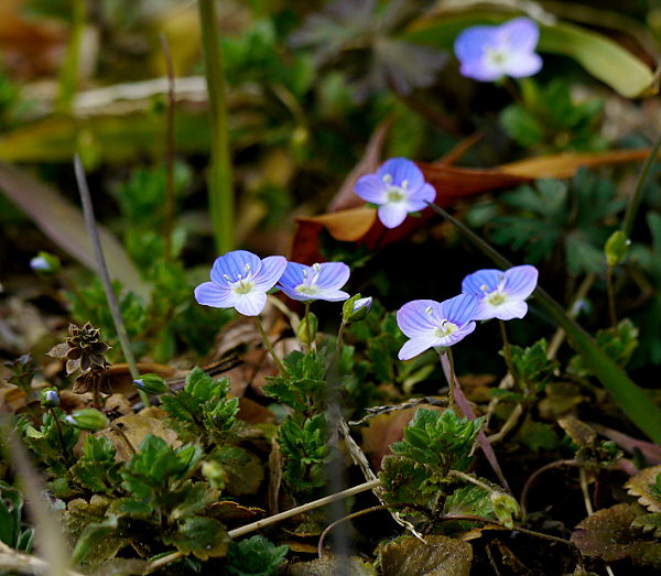 d0091754_2582059.jpg
