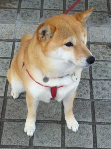 f0000673_2161853.jpg