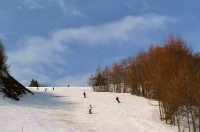 f0182173_11422232.jpg