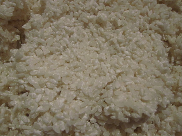 e0205374_655764.jpg