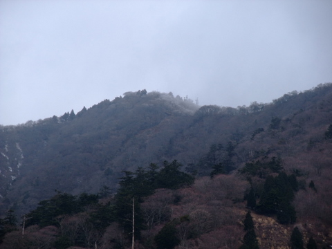 a0043982_1742620.jpg
