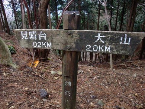 a0043982_175415.jpg