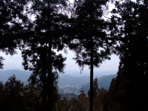 a0043982_20404544.jpg