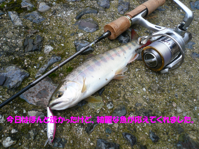 f0183484_20115444.jpg