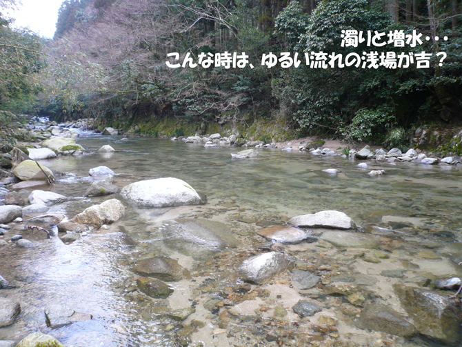 f0183484_2023252.jpg