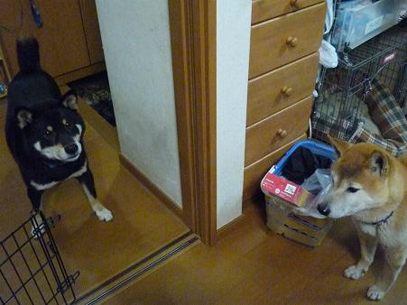 c0123890_2210124.jpg