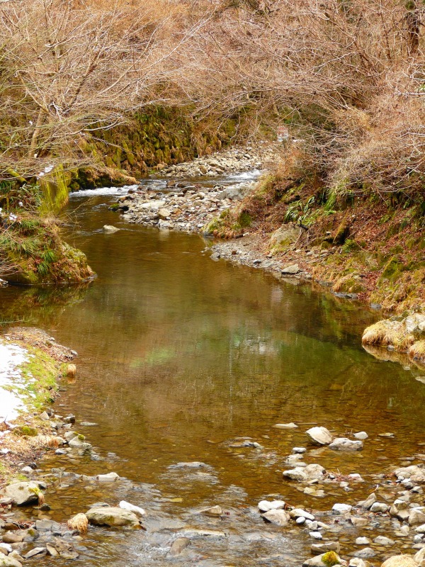 e0202393_7404876.jpg