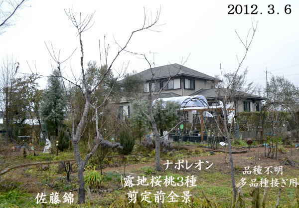 d0122497_16393488.jpg