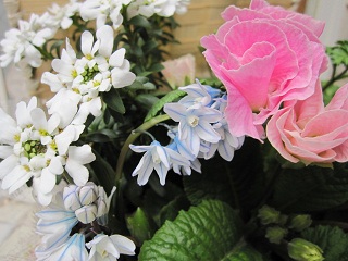 c0152002_18314265.jpg