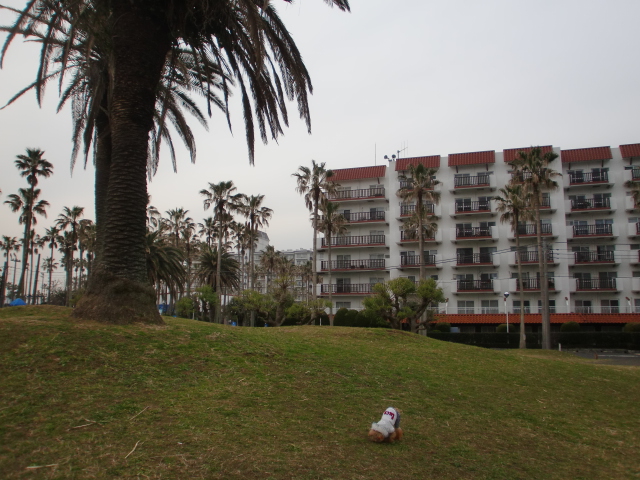 c0110906_927812.jpg