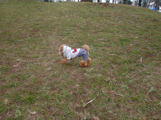 c0110906_9285443.jpg
