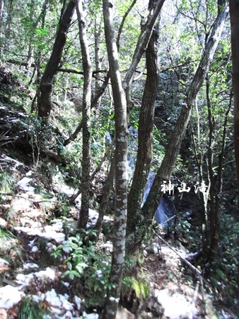c0073015_15224340.jpg