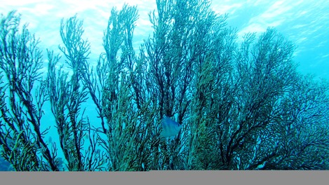 b0089616_011415.jpg