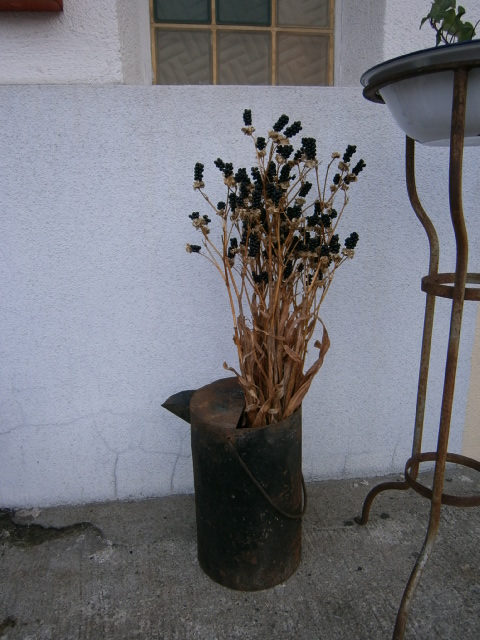 e0199317_23335210.jpg