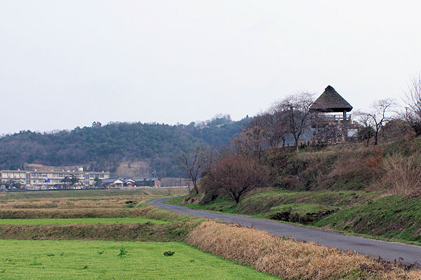 f0007926_12321411.jpg