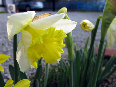 f0129726_21542690.jpg