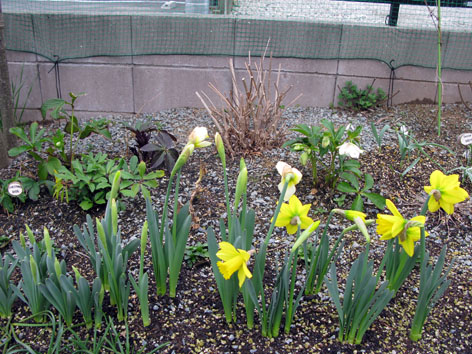 f0129726_22431458.jpg
