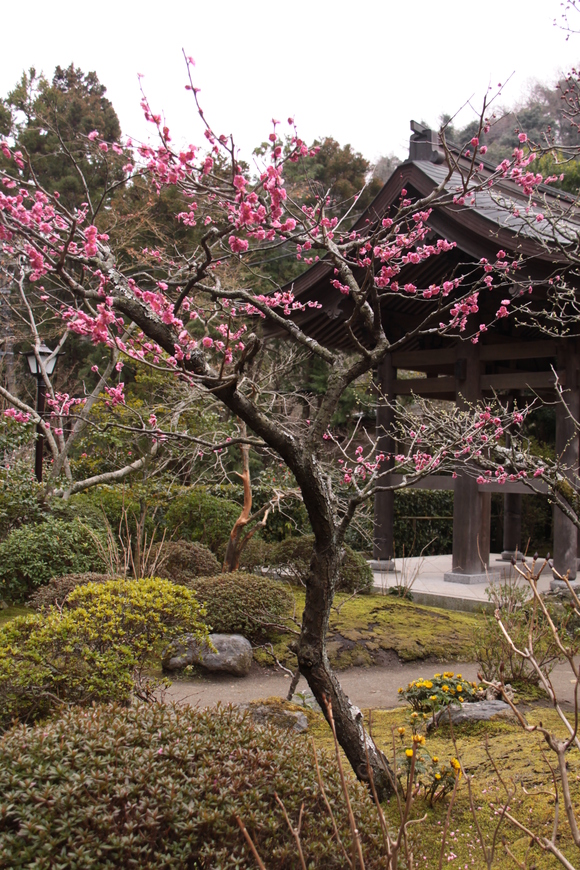 f0217933_1420130.jpg
