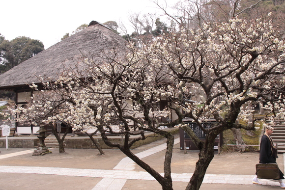f0217933_2036129.jpg