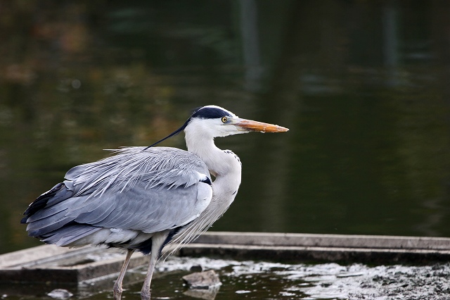 a0242438_1855109.jpg