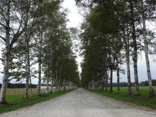 a0255840_210737.jpg