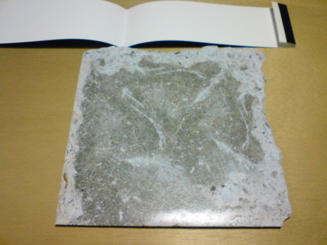 c0104445_21251216.jpg