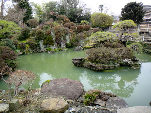 c0179351_1635077.jpg