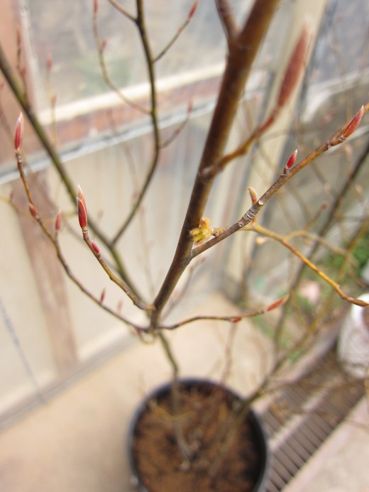 f0220152_18185013.jpg